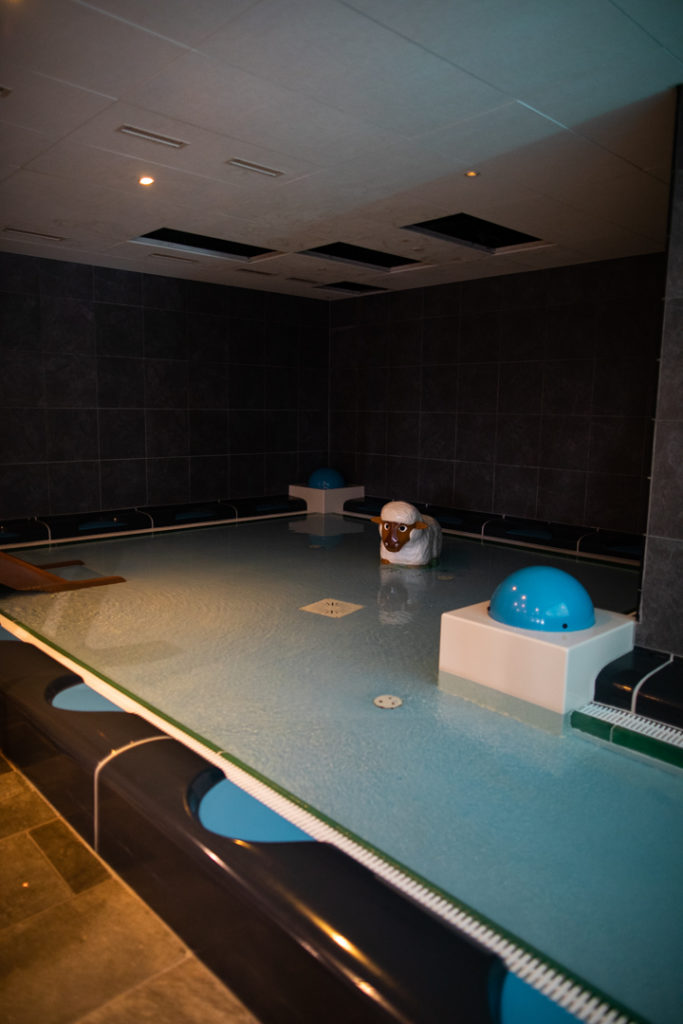 spa nendaz