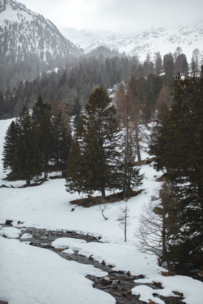 rando nendaz