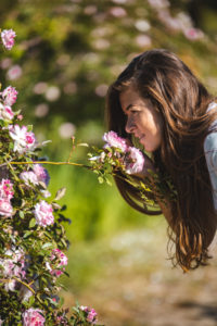 rose Grasse