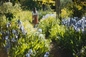 jardins du mip