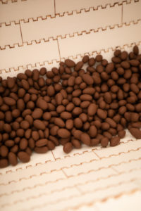 chocolaterie duplanteur grasse