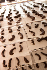 chocolaterie duplanteur grasse