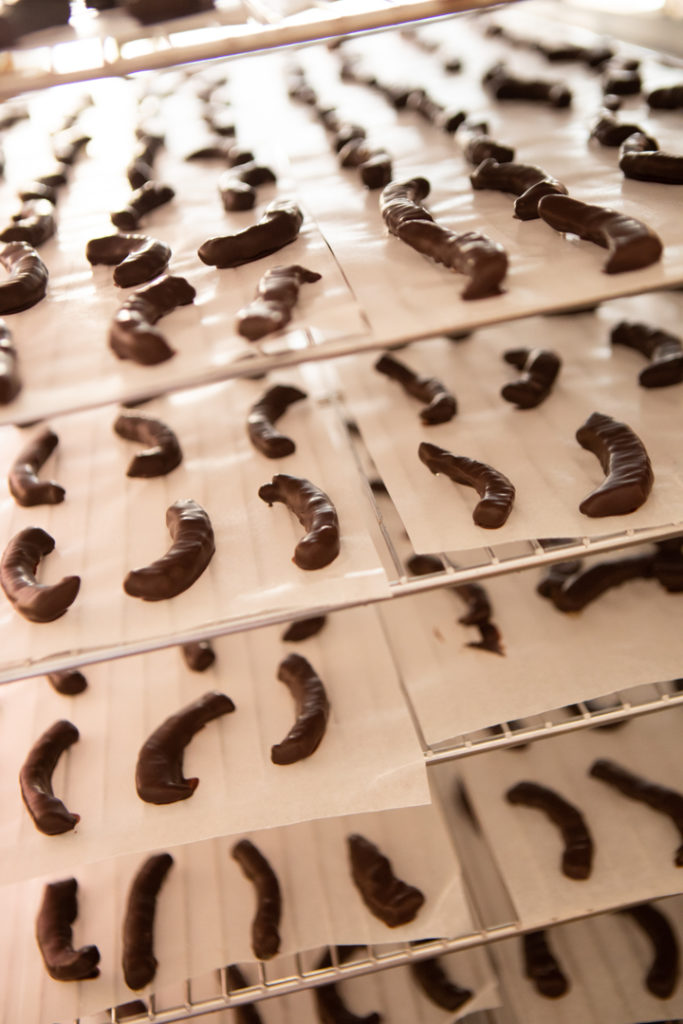 chocolaterie duplanteur grasse