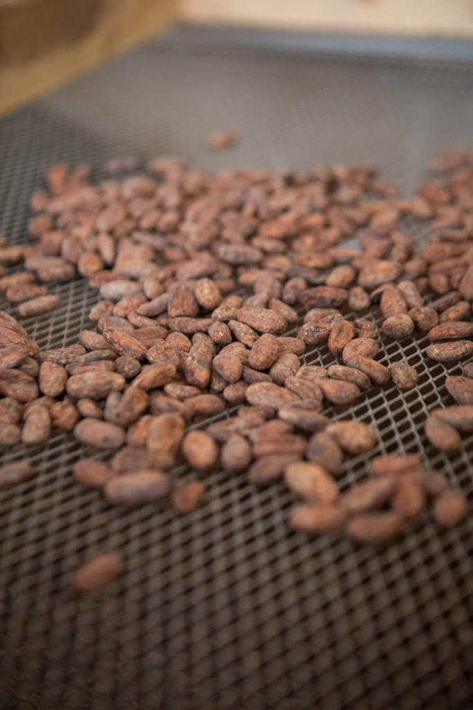 chocolaterie duplanteur grasse
