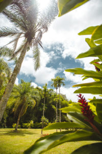 HSE Martinique