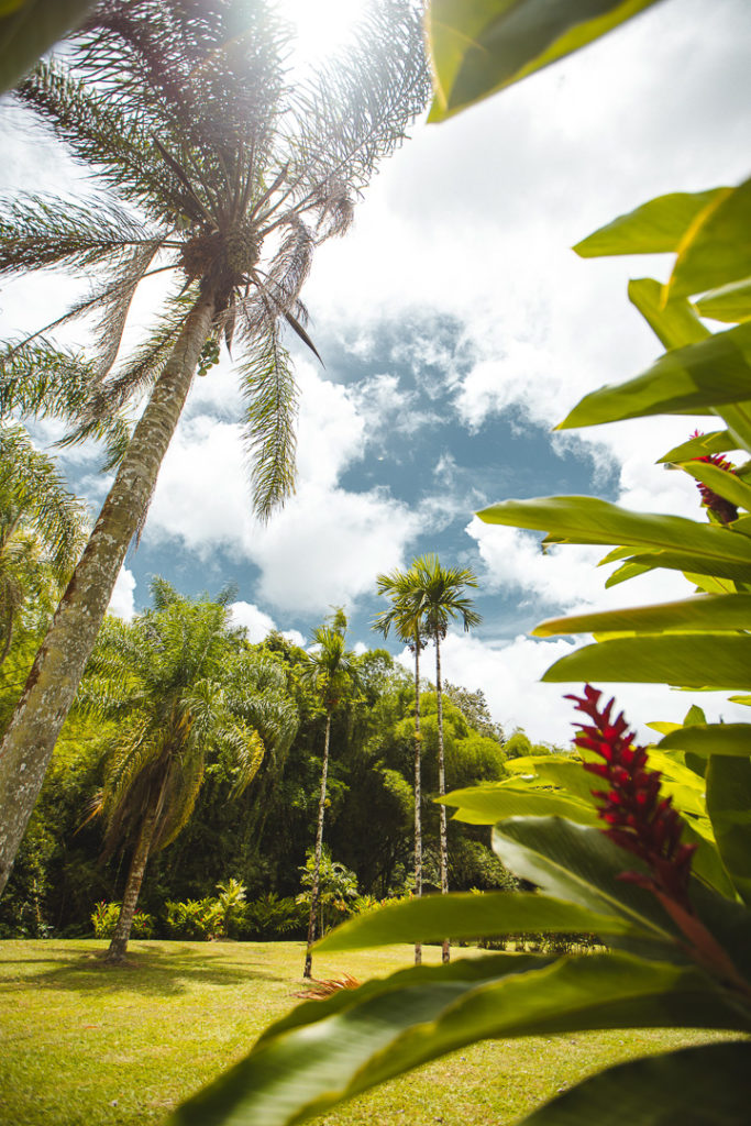 HSE Martinique
