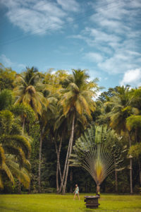 HSE Martinique