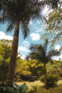 HSE Martinique
