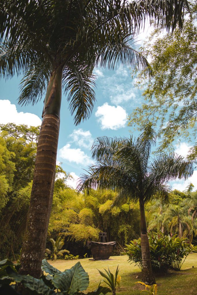 HSE Martinique