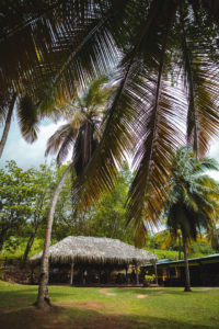 restaurant le point de vue martinique