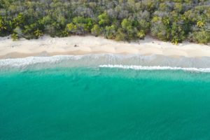 plage des salines martinique