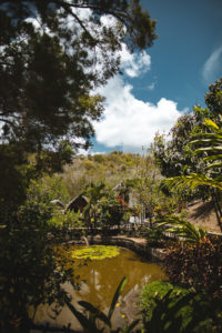 savane des esclaves martinique