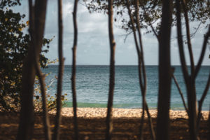 plage des salines martinique