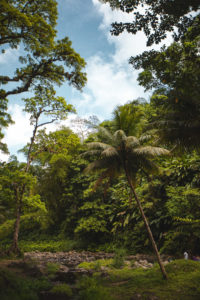 coeur bouliki martinique