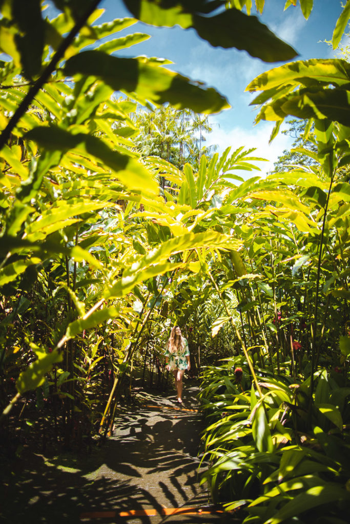 jardin balata martinique