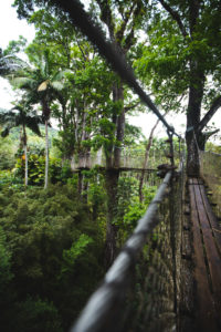 jardin balata martinique