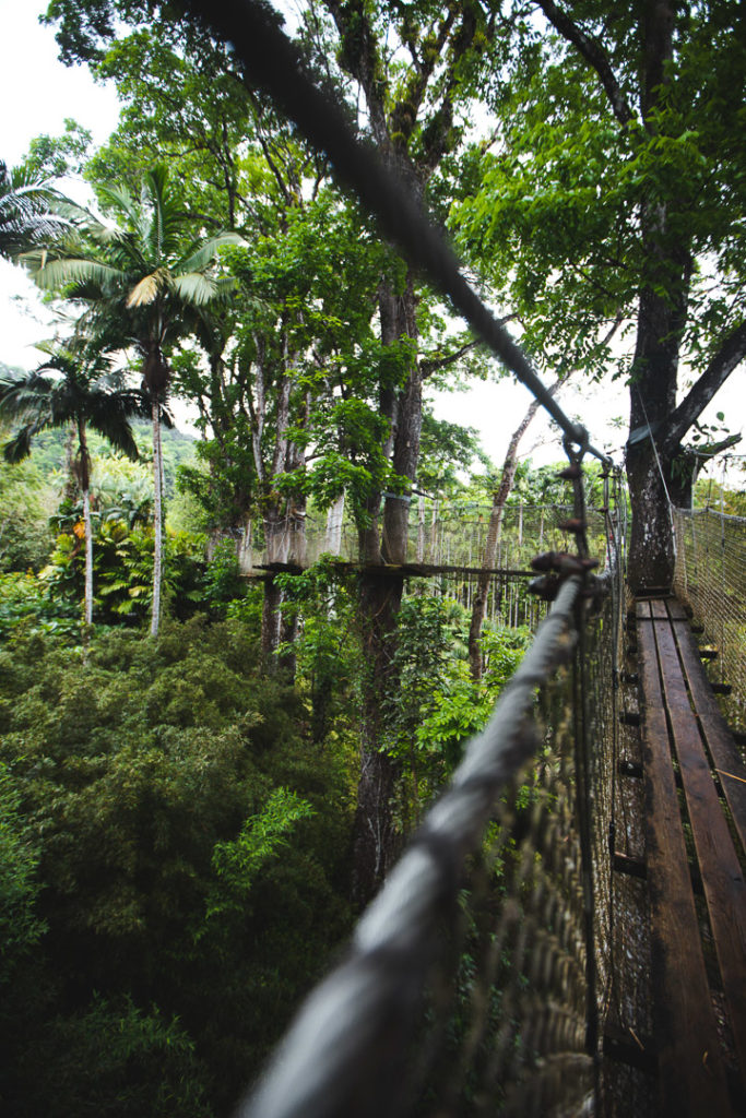 jardin balata martinique