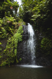 cascade du gendarme martinique