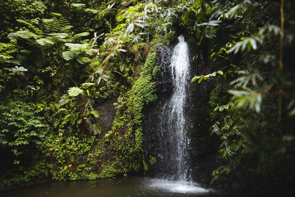 cascade du gendarme martinique