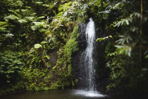 cascade du gendarme martinique
