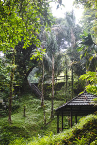 cascade du gendarme martinique