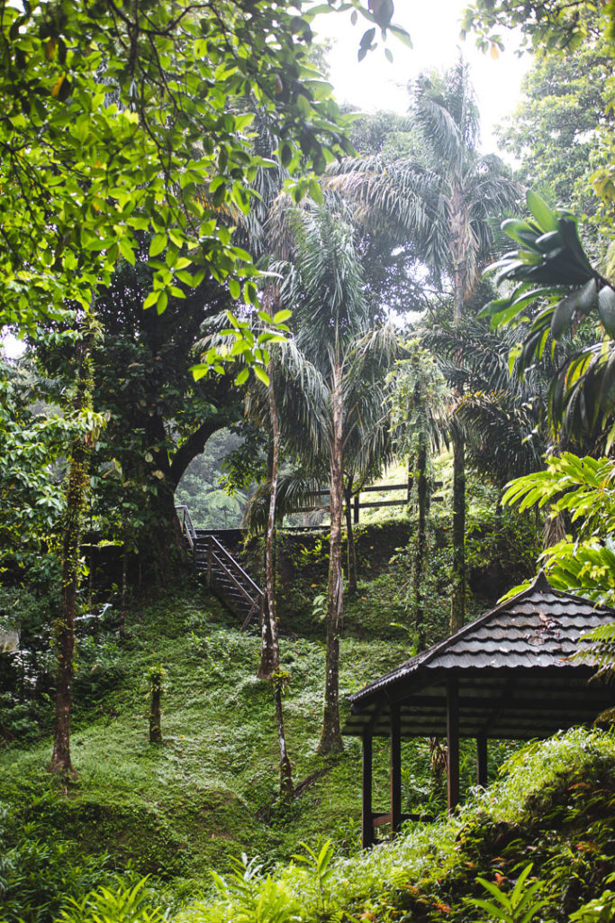 cascade du gendarme martinique