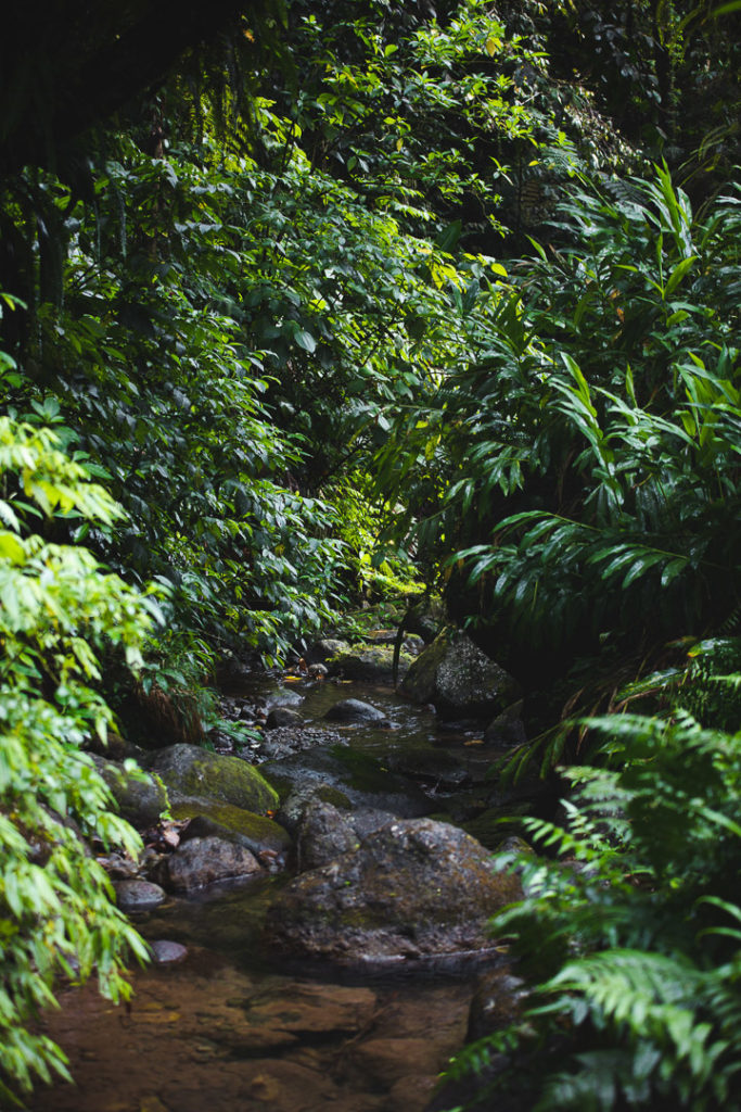 cascade du gendarme martinique