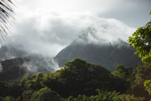 cascade du gendarme martinique