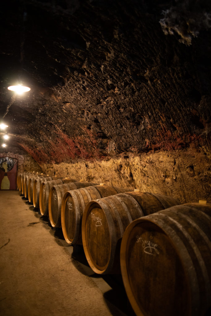 domaine gigou la charte sur loir
