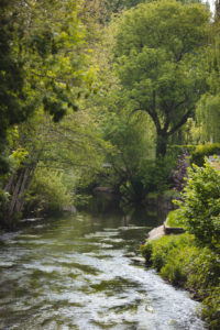Asnières sur vegre