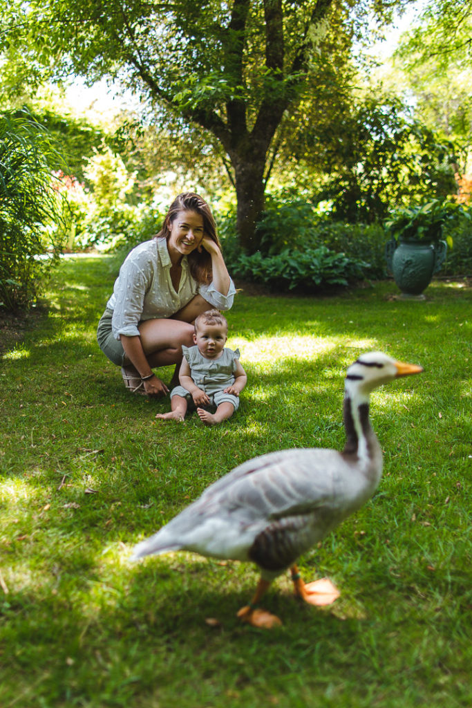 jardin de mon moulin joinville