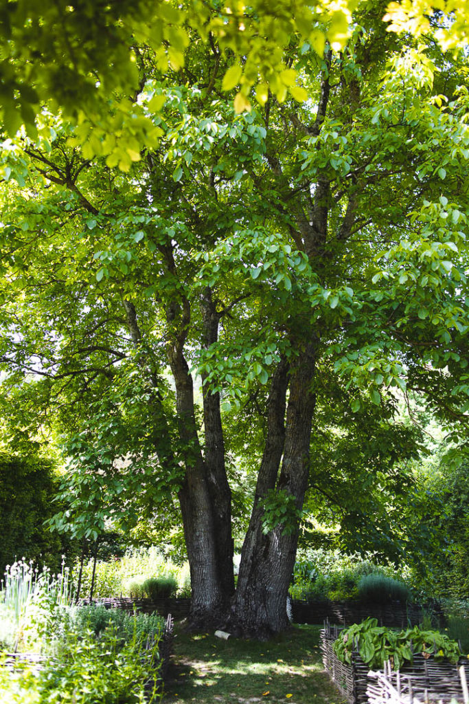 jardin de mon moulin joinville