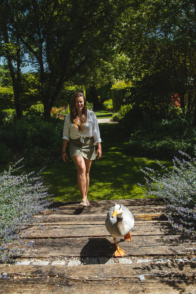 jardin de mon moulin joinville