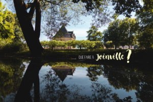 que faire à Joinville