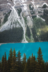 Lac Peyto Rocheuses Canadiennes
