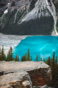 Lac Peyto Rocheuses Canadiennes