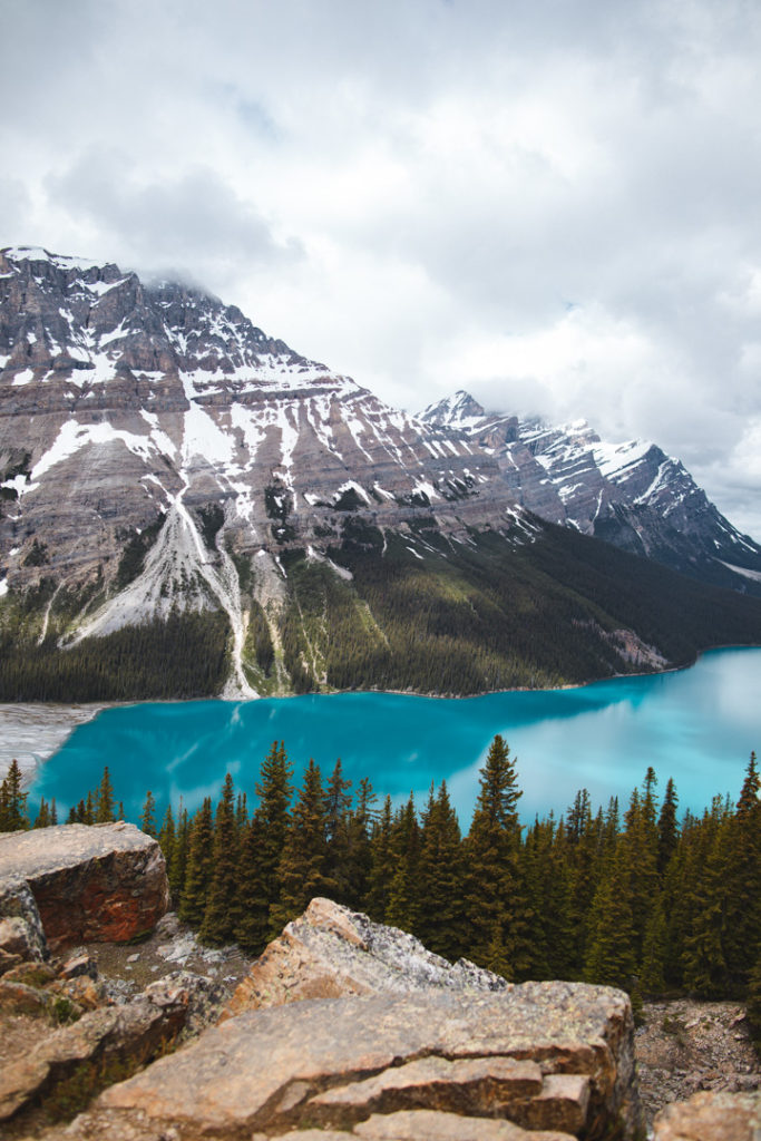 Lac Peyto Rocheuses Canadiennes