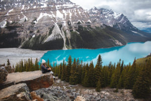 Lac Peyto Rocheuses Canadiennes