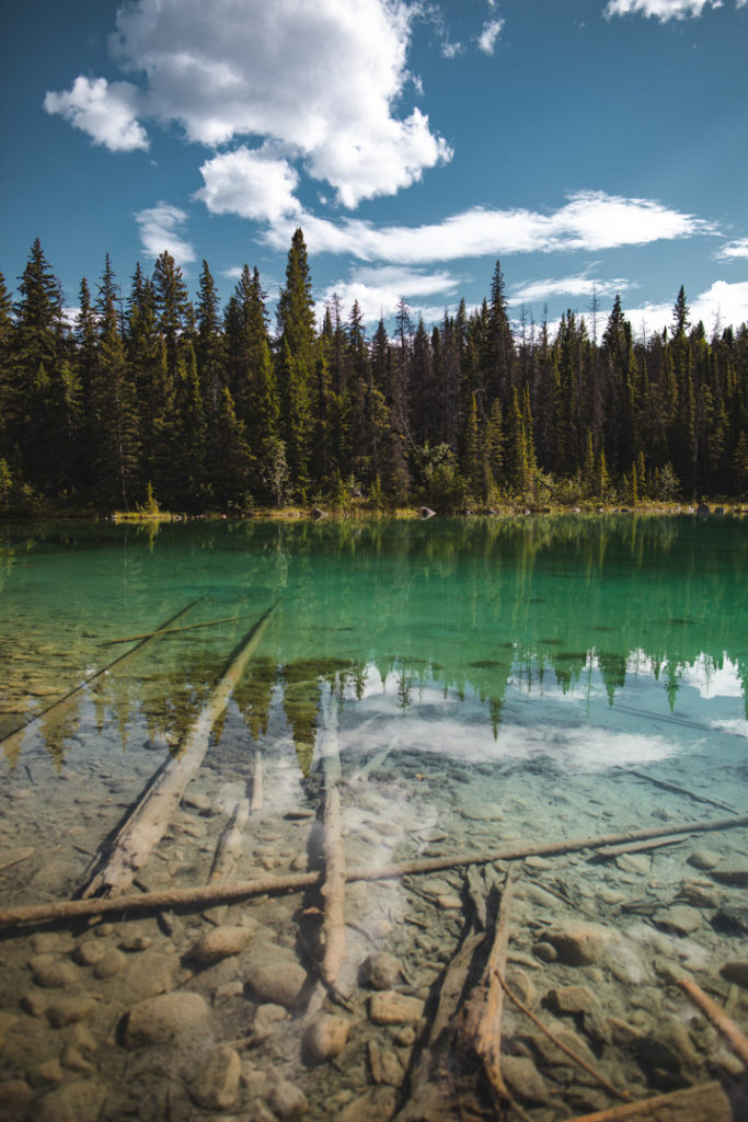 rocheuses canadiennes jasper
