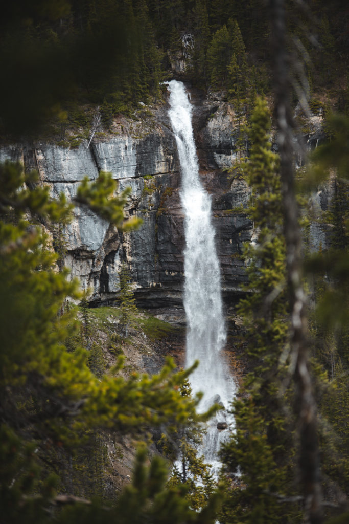 chutes alberta