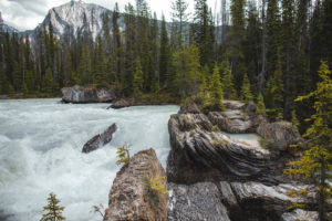 natural bridge yoho
