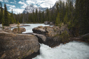 natural bridge yoho