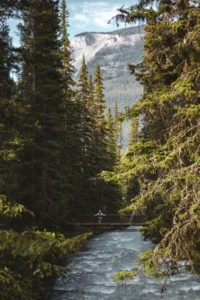 johnson falls canyon banff