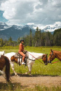 sortie cheval banff alberta