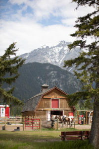 sortie cheval banff alberta