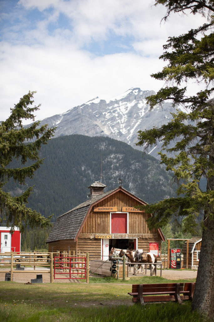 sortie cheval banff alberta
