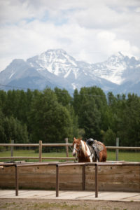 sortie cheval banff alberta