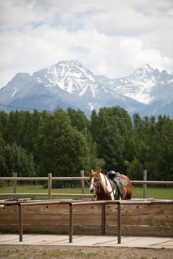 sortie cheval banff alberta