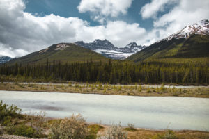 jasper