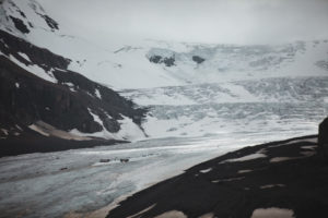 glacier jasper